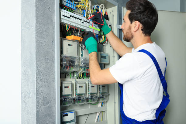 Best Electric Panel Repair  in Burgin, KY